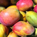 Organic Mango