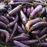 Eggplant